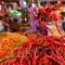 penjual cabai