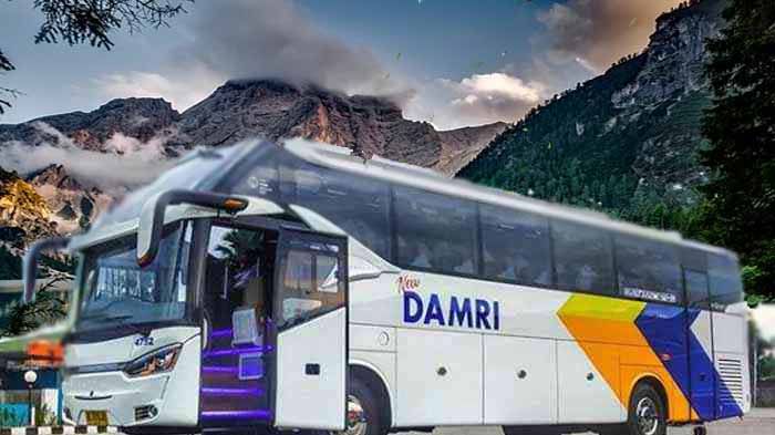 Ilustrasi Bus Damri. Foto: busdamri.com