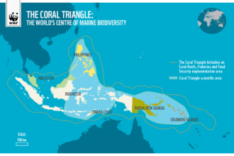 segitiga terumbu karang