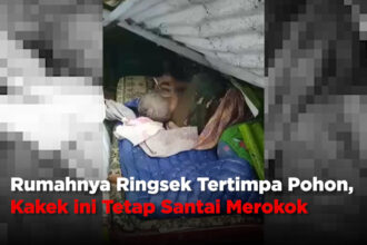 Rumahnya Ringsek Tertimpa Pohon, Kakek Ini Tetap Santai Merokok