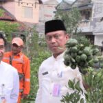 Wali Kota Jakarta Selatan, Munjirin didampingi Asisten Pemerintahan Pemkot Jakarta Selatan, Mahludin panen jeruk santang madu di Kebun Keyla, Kebayoran Lama Utara, Kebayoran Lama, Jumat (5/5). Foto: Ist