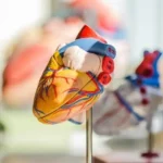 3D bioprinting organ jantung.