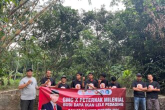 Sukarelawan Ganjar Milenial Center (GMC) menggelar pelatihan budidaya ikan lele pedaging bersama peternak milenial di Kampung Cicadas, Desa Kalanganyar, Kecamatan Labuan, Pandeglang, Banten, Jumat (9/6) siang. Foto: GMC