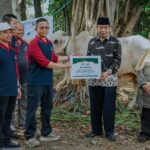 Laksma (Purn) KH Asep Saepudin selaku Pelaksana Tugas Ketua Harian Badan Pengelola Masjid Istiqlal (kanan) menerima penyerahan hewan kurban secara simbolik dari Bank Artha Graha Internasional. Foto: Bank Artha Graha Internasional
