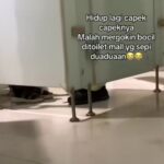 Dua pelajar sekolah digerebek di toilet mall, Foto: Instagram, @terang_media.