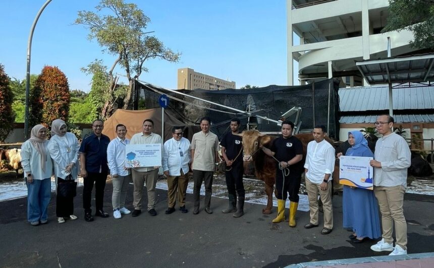 Segenap karyawan Jamsyar berbagi keberkahan dengan menggelar dan menyalurkan hewan kurban pada momen hari raya Idul Adha 1444 H / 2023.