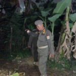 Aparat Satuan Polisi Pamong Praja (Satpol PP) Jakarta Timur saat menyisir mendapati pelumas hingga alat kontrasepsi bekas di Hutan Kota Cawang UKI, Kebon Pala, Makasar. Foto: Ist