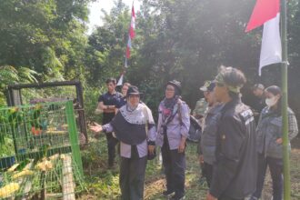 BKSDA Kalimantan Barat melepasliarkan satwa dilindungi dan tidak dilindungi, di antaranya 20 burung Madu Bakau.