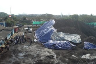 Suasana perusahaan pergudangan dan penyimpanan (stockpile) batubara yaitu PT. Trada Trans Indonesia dan PT. Tans Bara Energy di Jakarta Utara, saat diberikan sanksi administrasif oleh petugas Dinas Lingkungan Hidup DKI, Rabu (30/8). Foto: Ist