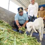 Bahtiar didampingi Kadis Peternakan dan Kesehatan Hewan Sulsel, Nurlina Saking dan Bupati Gowa, Adnan Purichta Ichsan, mengunjungi ternak milik Deng Alli. Foto: Ist