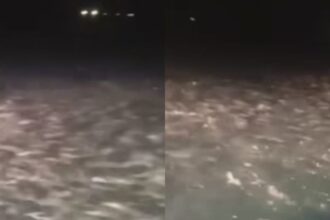 Ribuan ikan muncul di permukaan di Pandeglang Banten. Foto: IG, @kabarnegri (tangkap layar)