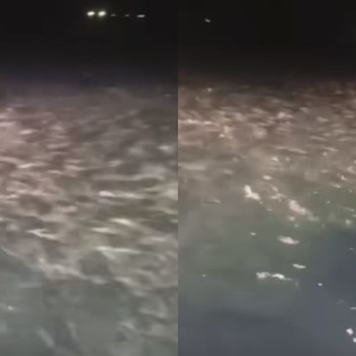 Ribuan ikan muncul di permukaan di Pandeglang Banten. Foto: IG, @kabarnegri (tangkap layar)