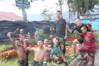 Kegiatan memanen ikan lele yang dibudidayakan di Kolam Pos Mamba, Kabupaten Intan Jaya, Provinsi Papua Tengah, Selasa (12/3/24). Foto: Satgas Pamtas Mobile Yonif 330 Tri Dharma Kostrad