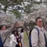 Sekelompok wisatawan asal Indonesia merusak bunga sakura di Jepang. Foto: IG, @lambe_was_was (tangkap layar)