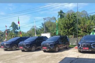 Deretan mobil dinas pemerintahan Foto: X, @partaisocmed (tangkap layar)