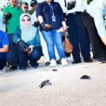 VP CSR & SMEPP PT Pertamina (Persero), Fajriyah Usman mengajak perwakilan dari seluruh perusahaan migas negara ASEAN melakukan pelepasan tukik (Anak Penyu) yang di Pantai Kelan, Tuban, Bali, Rabu (29/5/2024). Foto: Pertamina