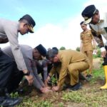 Pj Gubernur Sulbar, Bahtiar saat melakukan penanaman pohon bersama Forkompinda Sulbar.(foto dok pemprov)